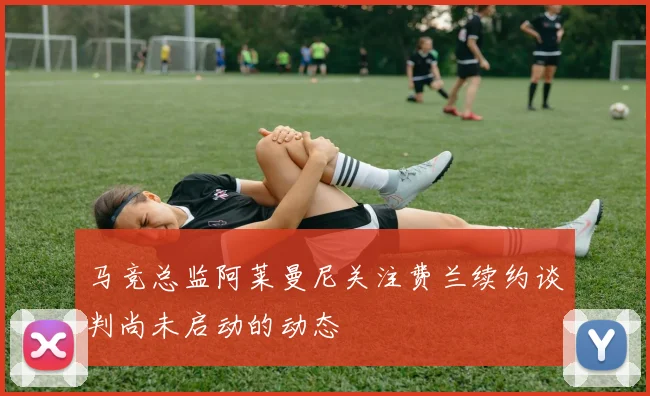 马竞总监阿莱曼尼关注费兰续约谈判尚未启动的动态
